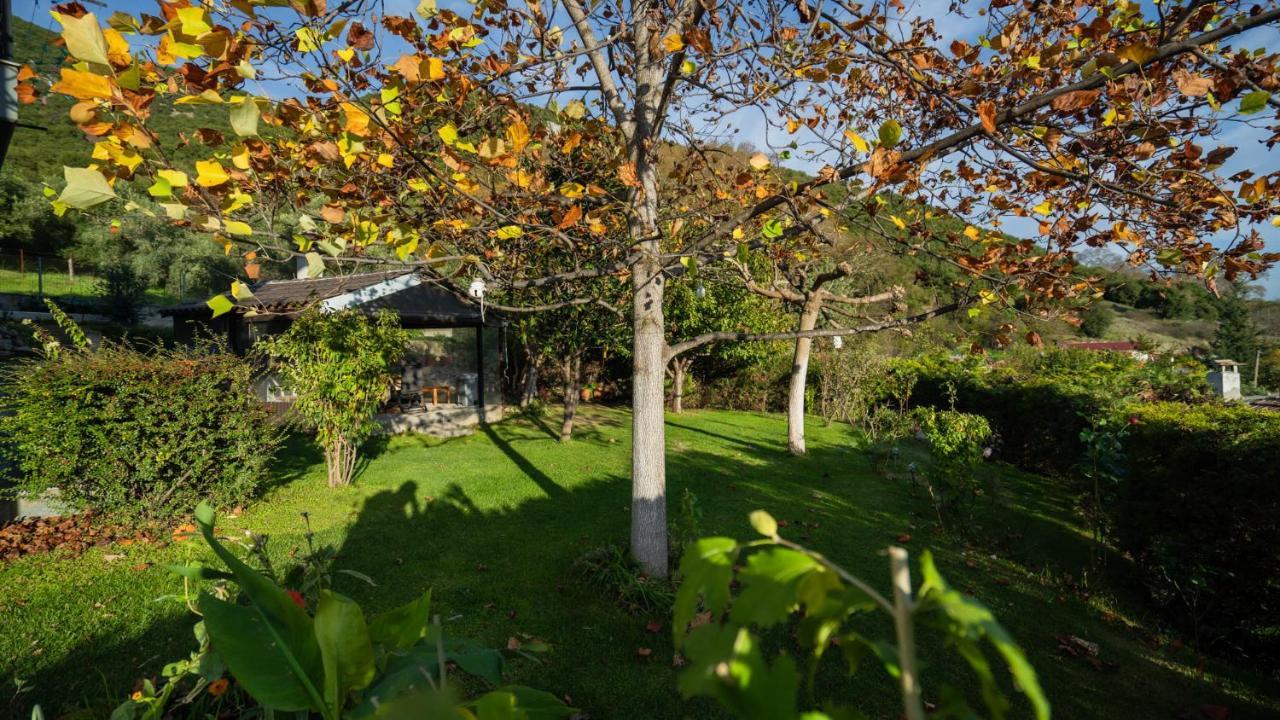 Lago Village House Kalambaka Exteriér fotografie